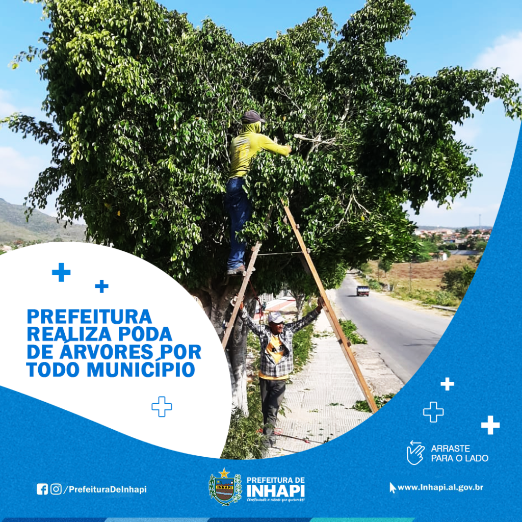 Prefeitura realiza poda de árvores por todo município