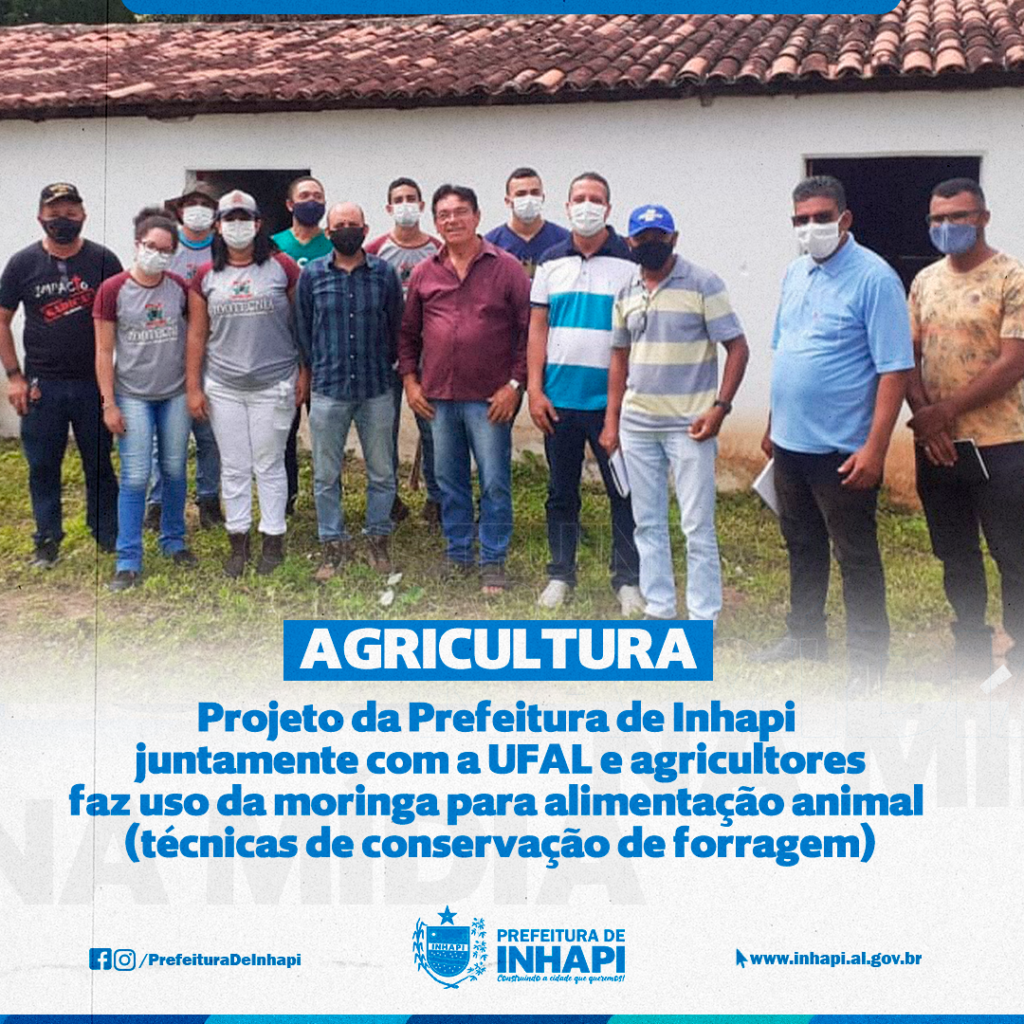 Projeto da Prefeitura de Inhapi em parceria com a UFAL e agricultores faz uso da moringa para alimentação animal (técnicas de conservação de forragem)